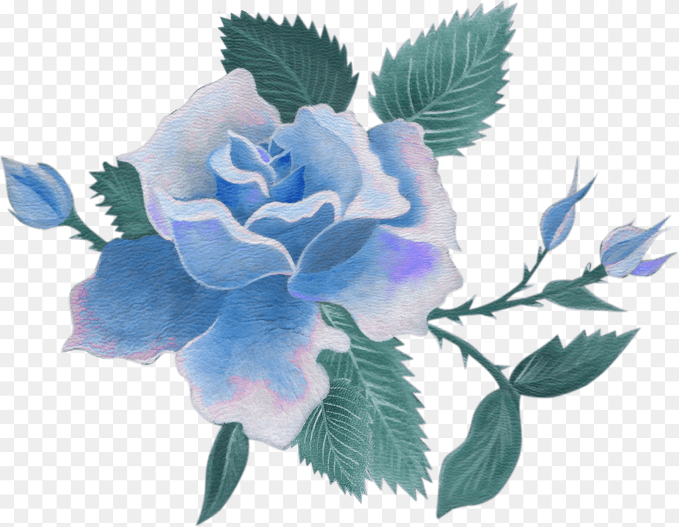 Vintage Blue Flower Blue Flowers Background, Plant, Rose, Pattern, Art Png