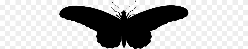 Vintage Butterfly Illustration Silhouette, Gray Png