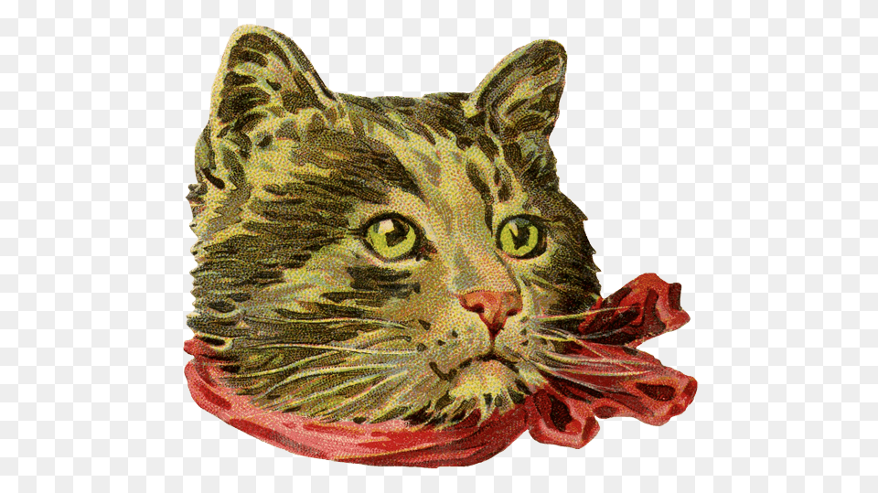 Vintage Cat, Animal, Pet, Mammal Free Transparent Png