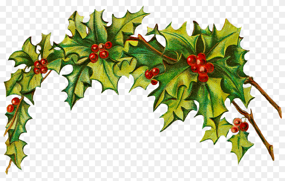 Vintage Christmas Images Use These Images For Your Websites, Leaf, Plant, Food, Fruit Free Transparent Png