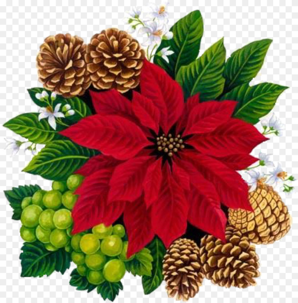 Vintage Christmas Rose Laminas Decoupage Navidad Flores, Art, Plant, Pattern, Leaf Free Png