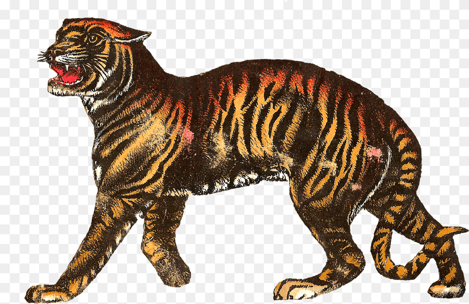 Vintage Circus Tiger, Animal, Mammal, Wildlife Free Png Download