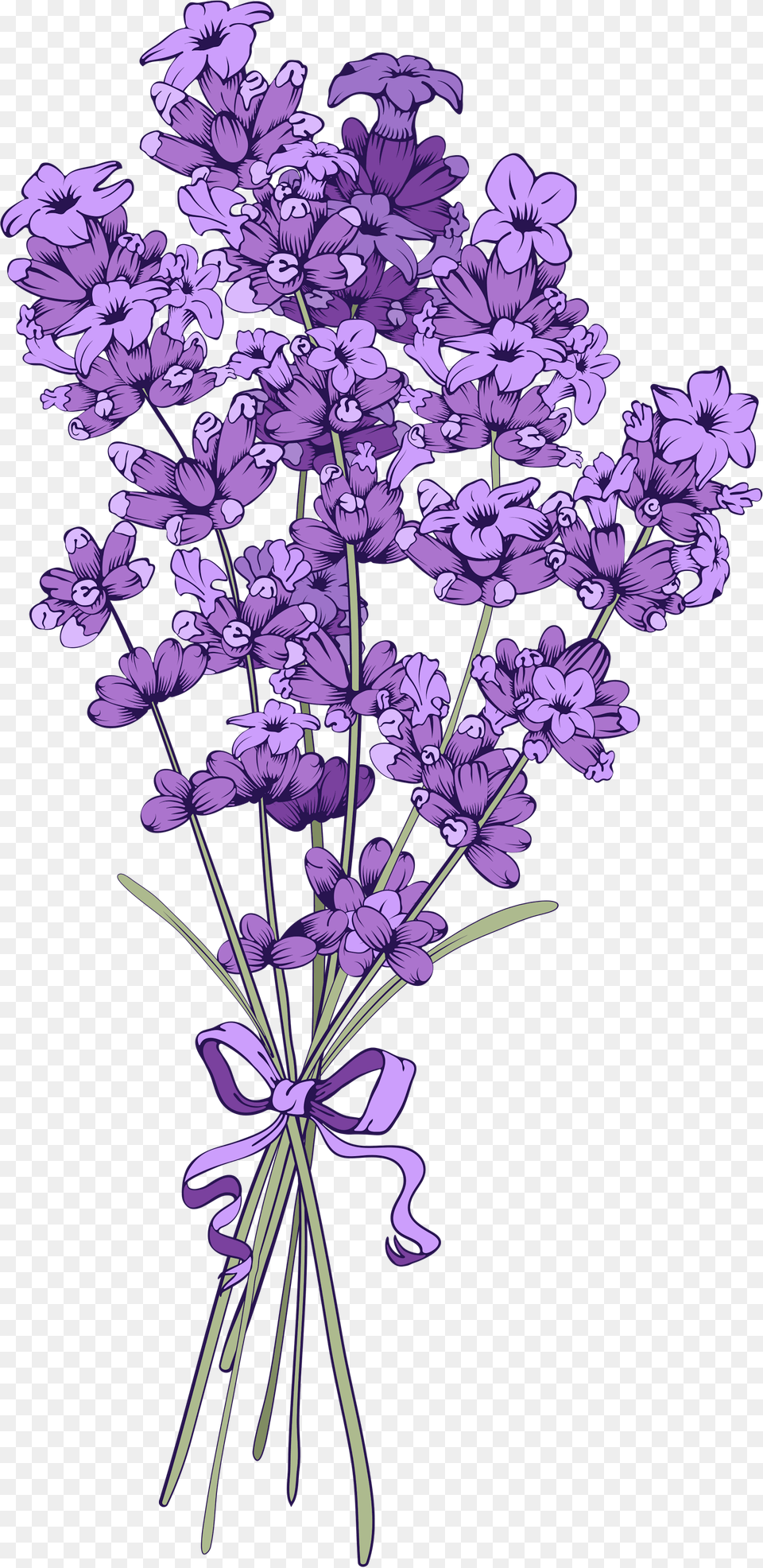 Vintage Clipart Background Lavender, Flower, Plant, Purple Png Image