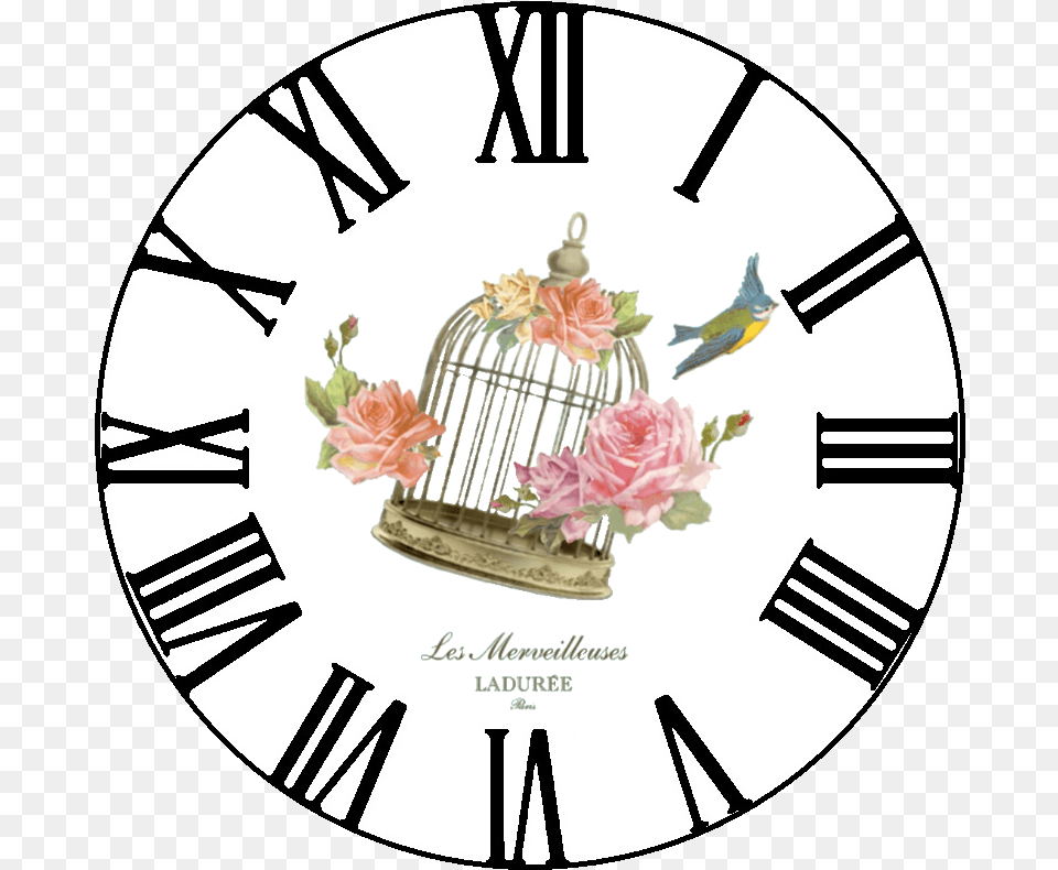Vintage Clock Caratula De Reloj, Animal, Bird, Flower, Plant Free Transparent Png