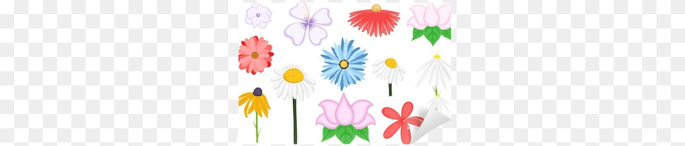 Vintage Decorative Flowers Vector Wall Mural Pixers Euclidean Vector, Daisy, Flower, Petal, Plant Free Transparent Png