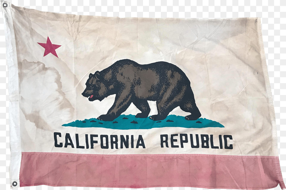 Vintage Distressed California Republic Flag Us Flag Store California 4ft X 6ft Spectrapro Flag Png Image