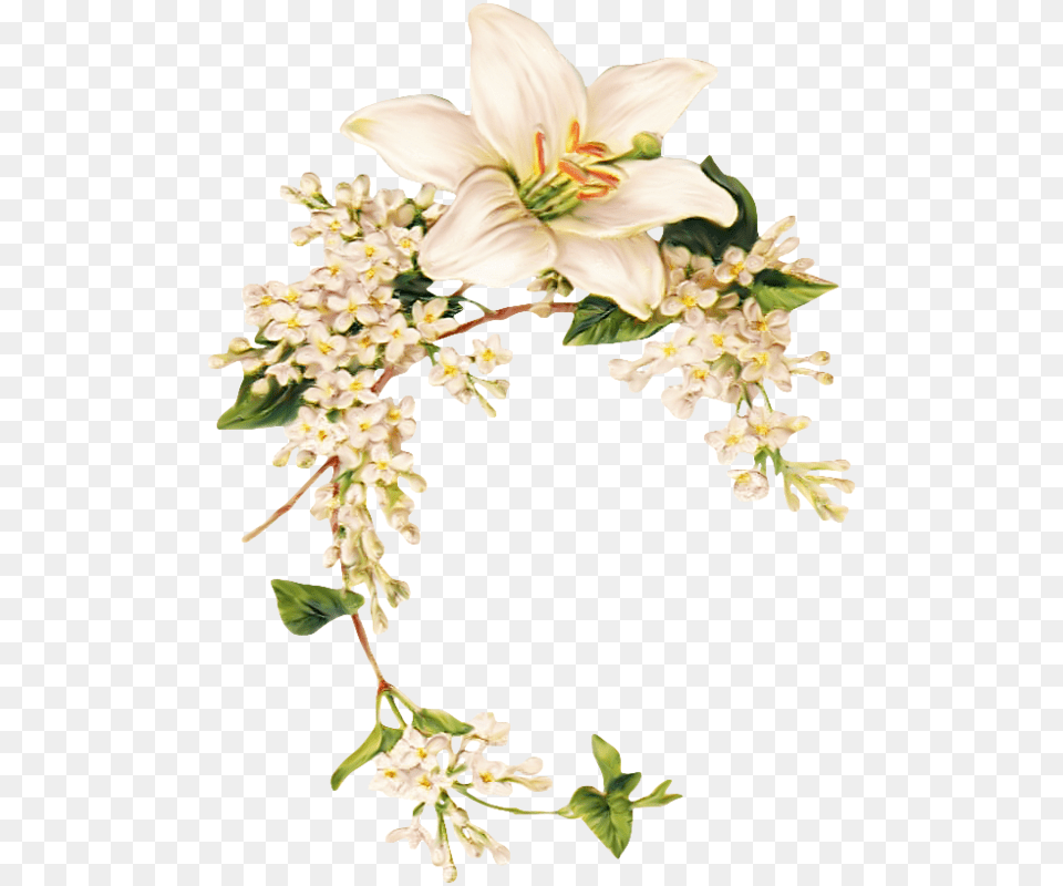 Vintage Easter Priss El Lily Family, Flower, Plant, Flower Arrangement, Petal Png