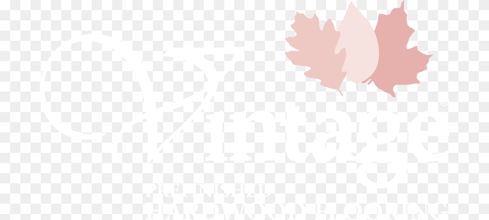 Vintage Flooring Logo, Leaf, Plant, Maple Leaf, Tree Free Png
