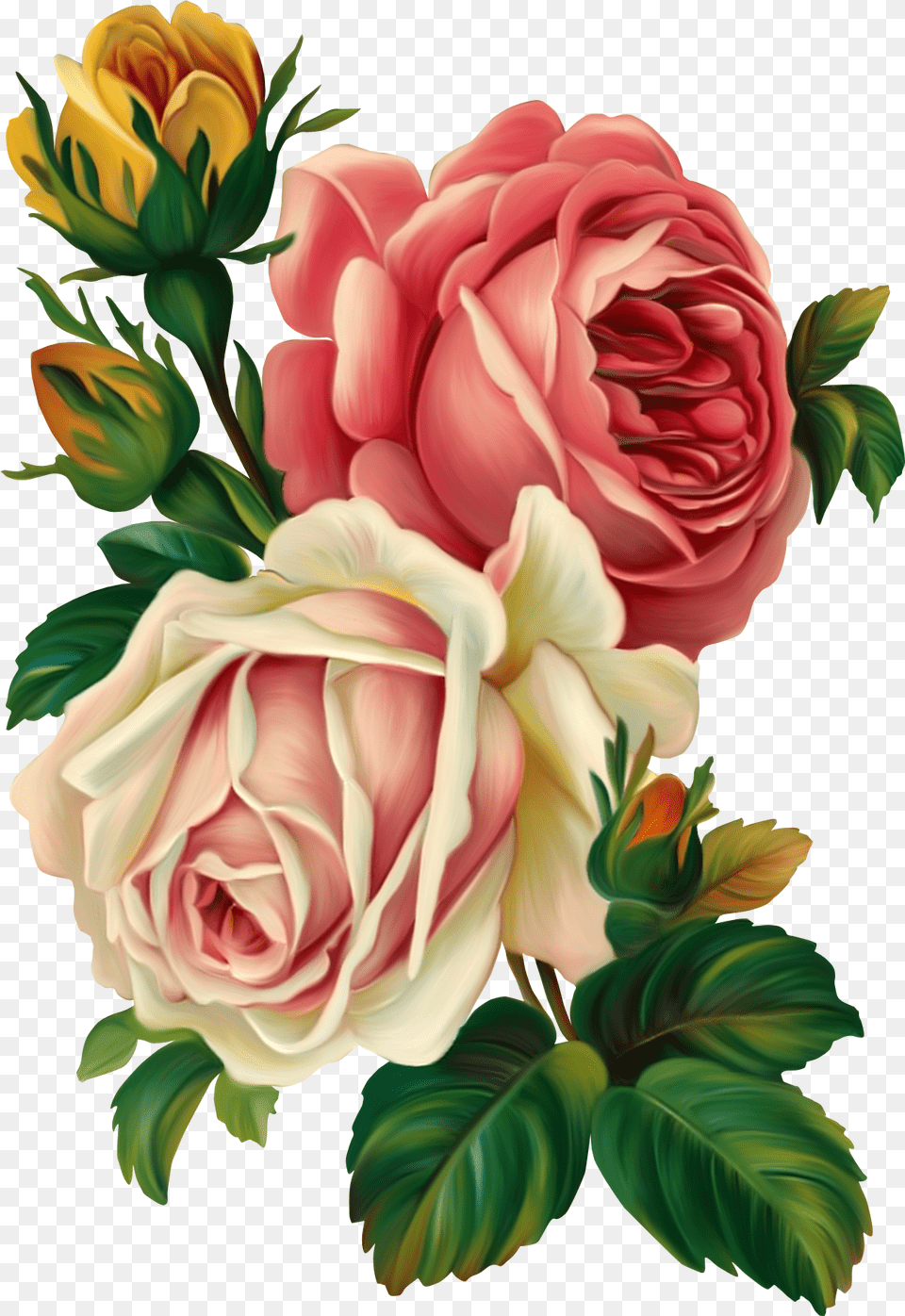 Vintage Floral Flowers Art Decoupage Vintage Drawing Flower, Plant, Rose, Graphics, Flower Arrangement Free Transparent Png