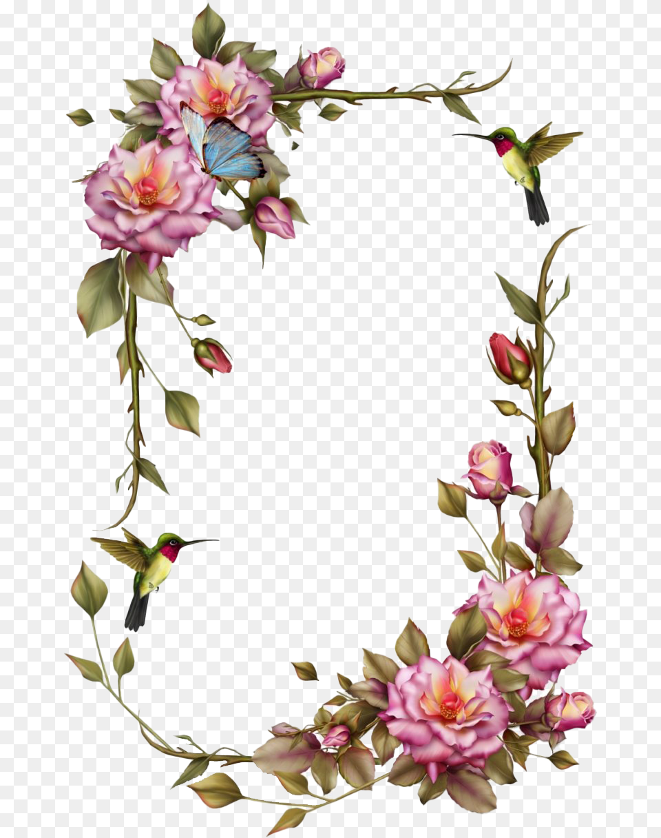 Vintage Floral Frame Clipart Flower Frames, Plant, Flower Arrangement, Animal, Bird Free Png