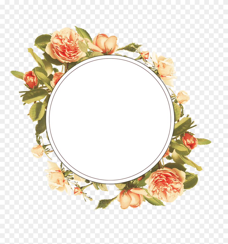 Vintage Floral Frame Collection Download Garden Roses, Oval, Photography, Flower, Plant Png