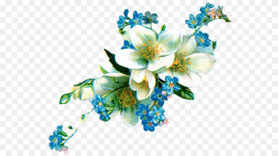 Vintage Flores Friendship Beautiful Flowers Quotes, Accessories, Pattern, Art, Floral Design Png Image