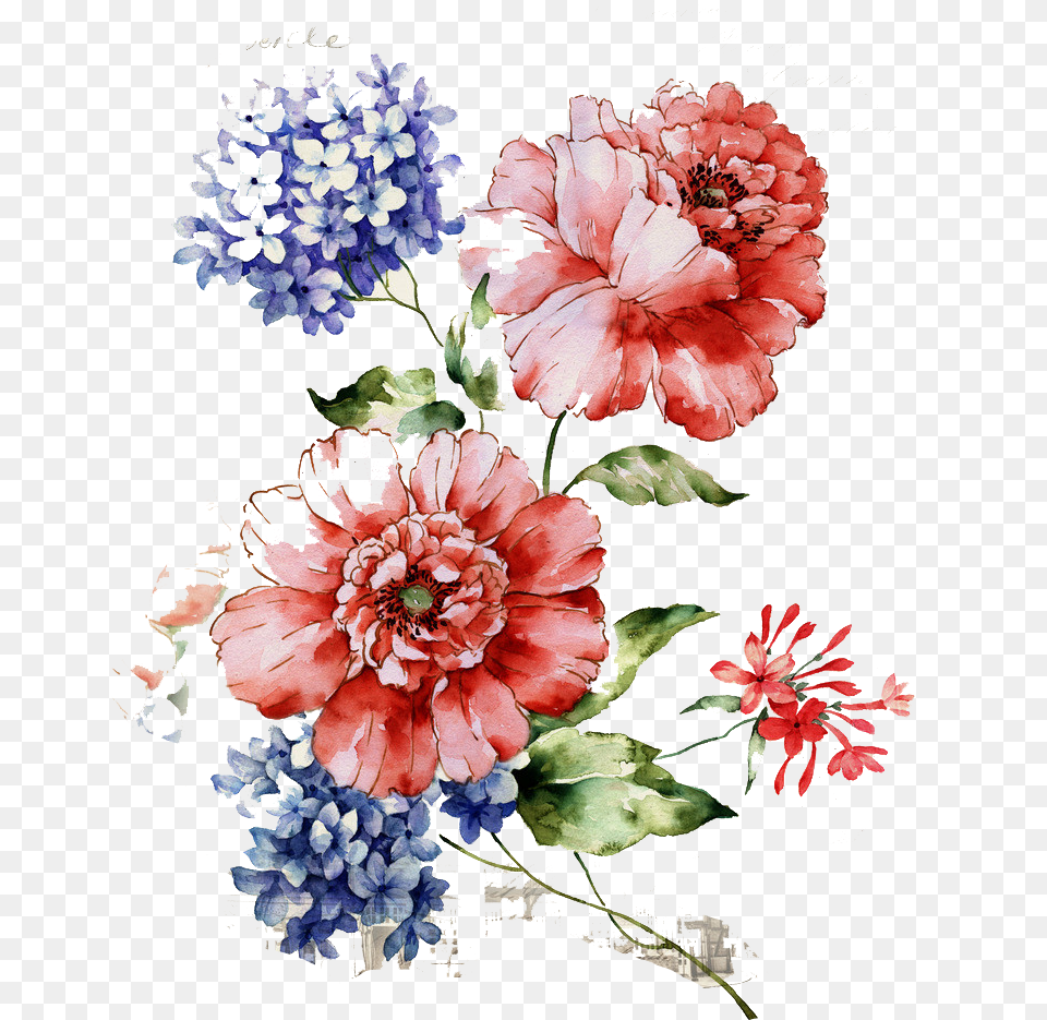Vintage Flower, Art, Plant, Dahlia, Floral Design Free Png Download
