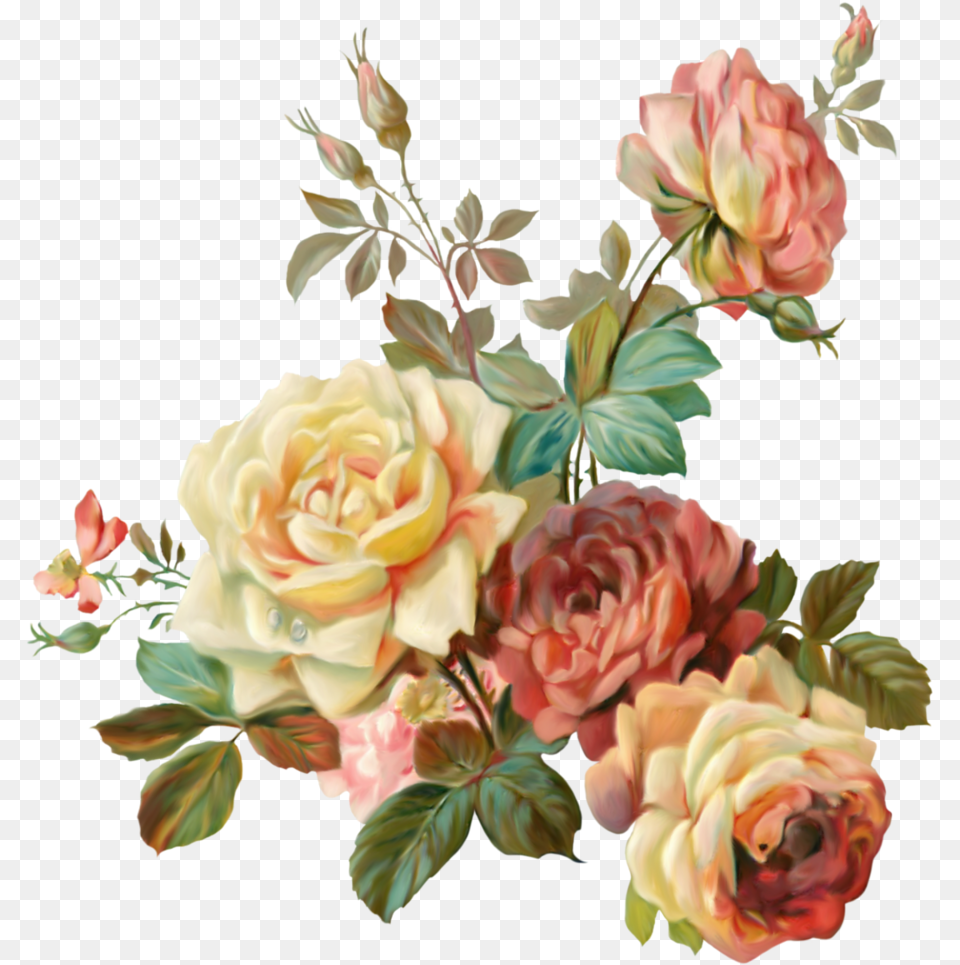 Vintage Flower Art, Plant, Pattern, Graphics, Flower Bouquet Free Transparent Png