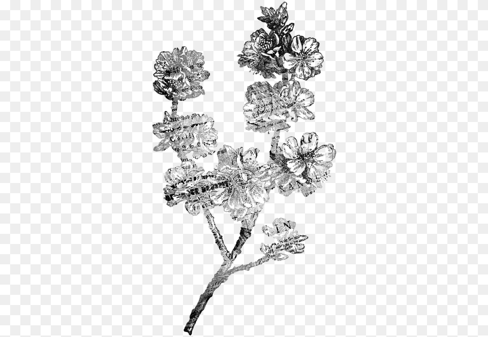 Vintage Flower Black And White Vintage Flower Black And White, Art, Drawing, Adult, Bride Free Transparent Png