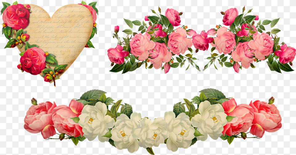 Vintage Flower Border, Flower Arrangement, Petal, Plant, Rose Free Png
