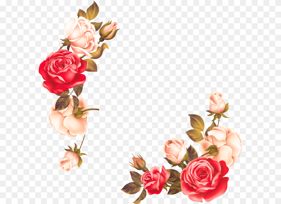 Vintage Flower Border, Plant, Rose, Art, Floral Design Free Png Download
