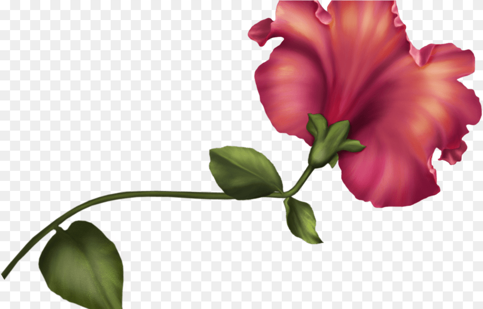 Vintage Flower Clip Art Best Web Clipart Flower Vintage Clipart, Plant, Petal, Hibiscus Free Transparent Png