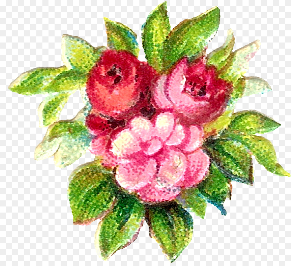 Vintage Flower Clip Art Floral Border Vintage Clipart Floral Border, Food, Produce, Leaf, Fruit Free Png