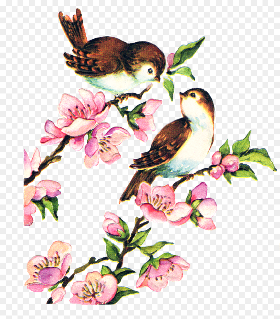 Vintage Flower Clipart Branch, Art, Floral Design, Graphics, Pattern Png