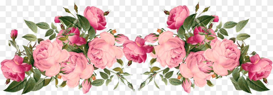 Vintage Flower Clipart Background Clip Pink Roses Border, Rose, Plant, Flower Arrangement, Flower Bouquet Free Transparent Png