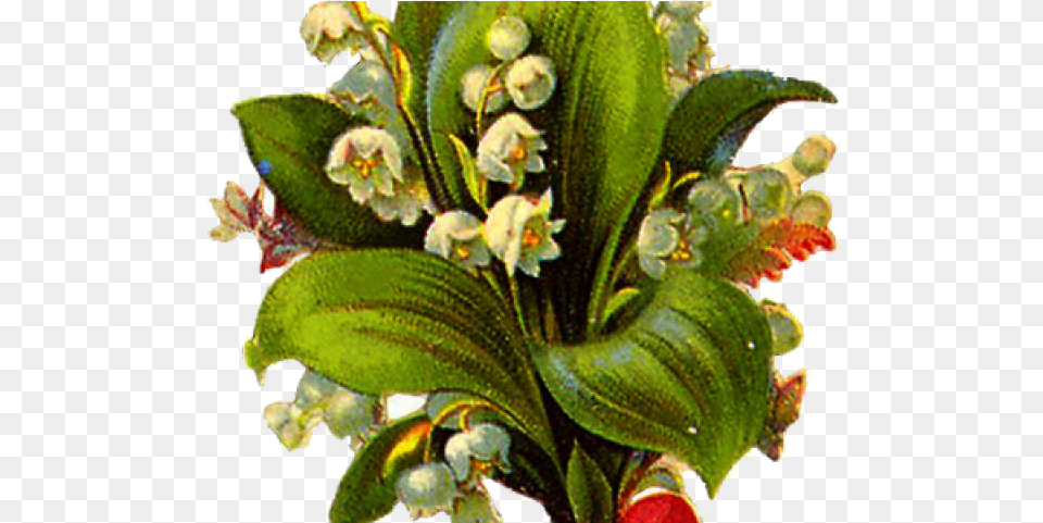 Vintage Flower Clipart Transparent Background Flower, Art, Pattern, Leaf, Graphics Png