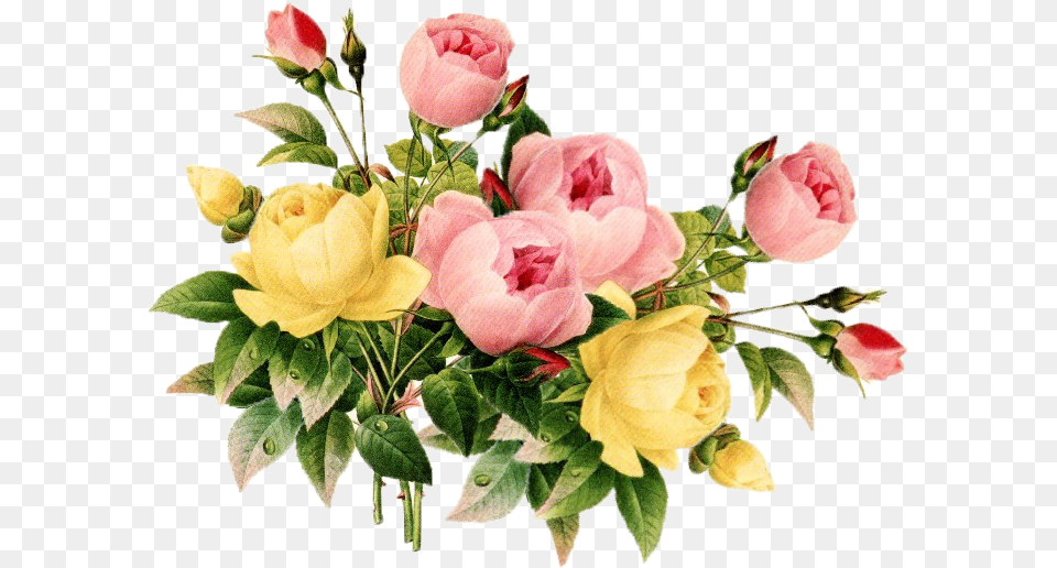 Vintage Flower Clipart Vintage Flowers, Flower Arrangement, Flower Bouquet, Plant, Rose Png Image