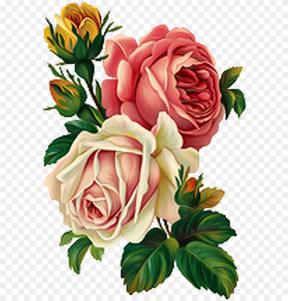Vintage Flower For Decoupage, Art, Graphics, Plant, Rose Png Image