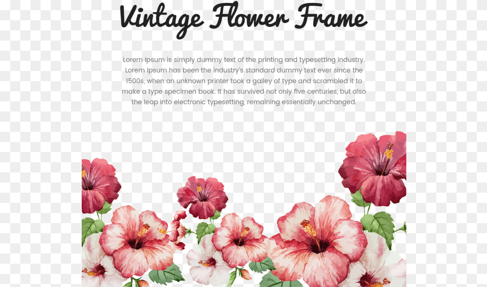Vintage Flower Frame With Typography Vintage Flower Tropical Flowers Painting Watercolor, Geranium, Petal, Plant, Hibiscus Free Png Download