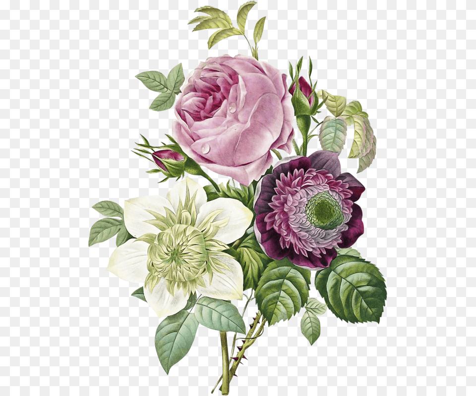 Vintage Flower High Resolution, Art, Plant, Pattern, Graphics Png Image