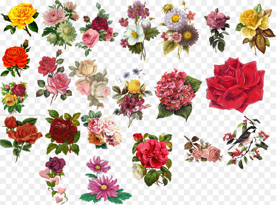 Vintage Flower Vector Vintage Flowers Clipart, Rose, Plant, Pattern, Graphics Png Image