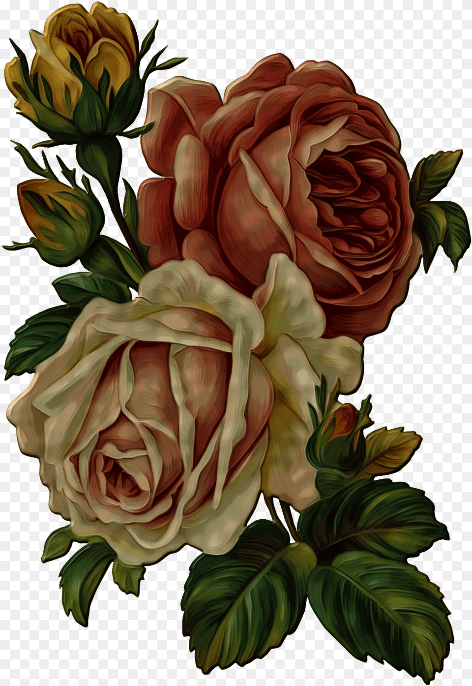 Vintage Flower Vintage Rose Flower, Plant, Painting, Graphics, Art Free Png Download