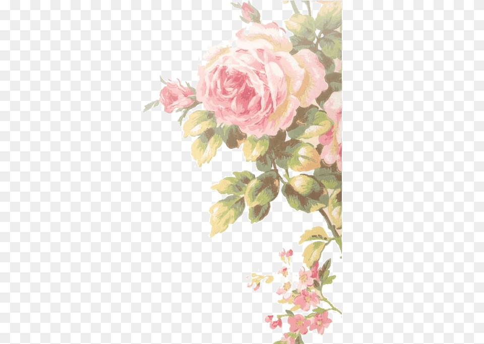 Vintage Flower Wallpaper For Iphone Hd, Art, Floral Design, Graphics, Pattern Png
