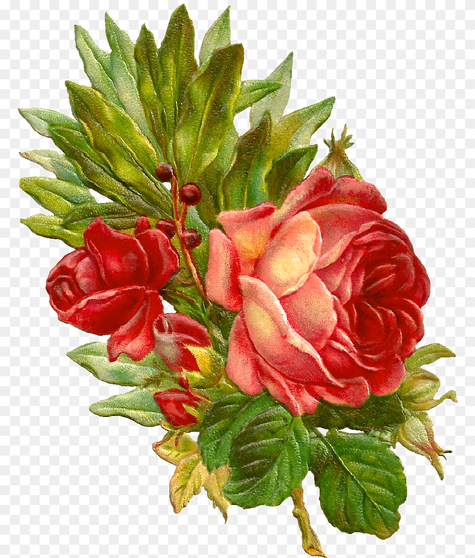 Vintage Flowers Clipart Flowers Vintage Red Victorian, Rose, Plant, Flower Bouquet, Flower Arrangement Free Png