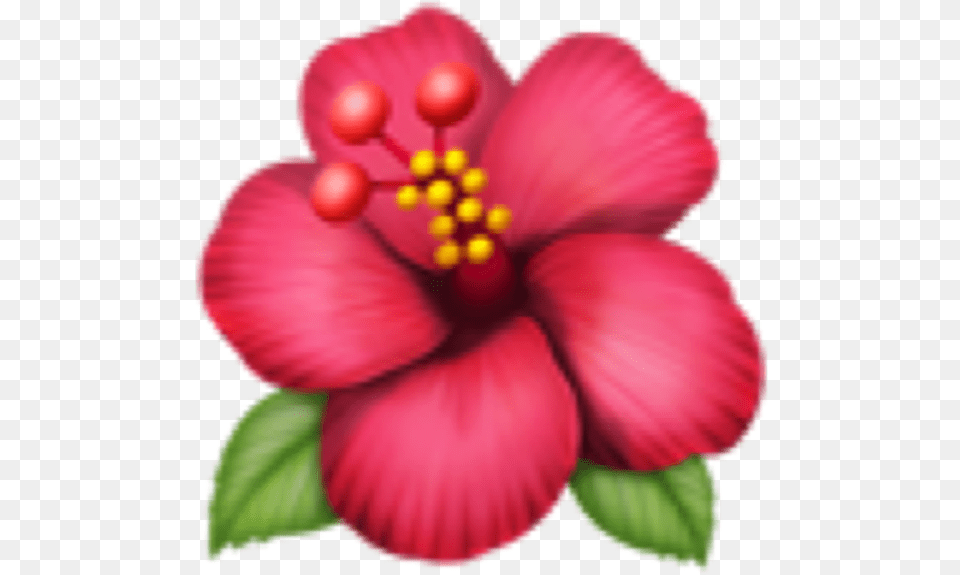 Vintage Flowers Emoji Keyboard Flower Emoji, Hibiscus, Plant, Petal Free Transparent Png