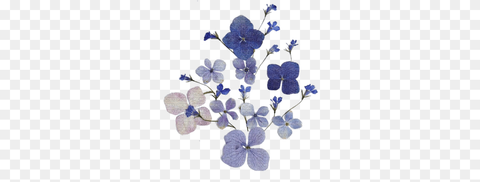 Vintage Flowers Fleurs Victoriabea Pressed On Flower Patterns, Plant, Chandelier, Lamp, Anemone Free Transparent Png