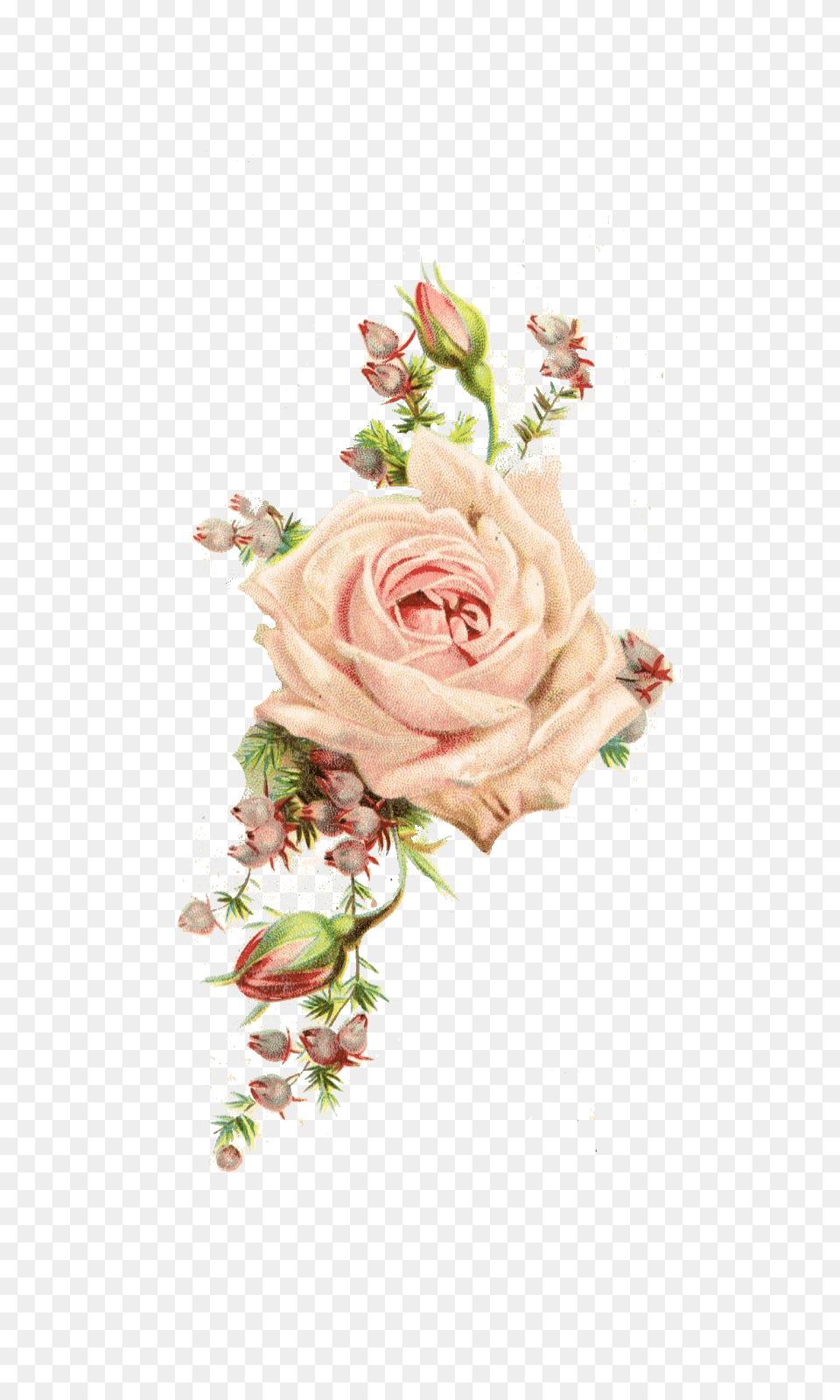 Vintage Flowers Image With Transparent Background Vintage Flower, Rose, Plant, Pattern, Mail Free Png Download