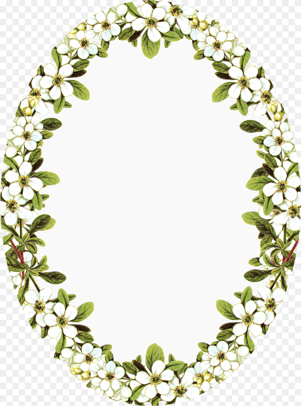 Vintage Frame Clip Art Oval Flower Frames Full Size Frame Oval With Flowers, Photography, Plant, Leaf Png Image