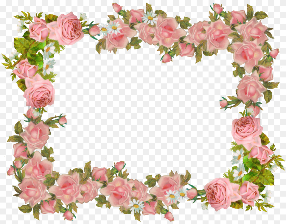 Vintage Frame Paper Rose Frames Hq Pink Flowers Frame, Plant, Flower, Flower Arrangement, Pattern Free Png