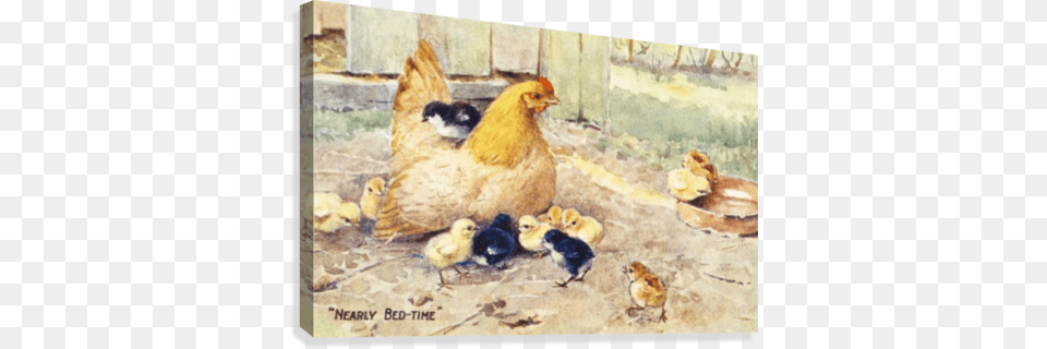 Vintage Greeting Card With Illustration Of Hen And Supplier Generic Vintage Greeting Card With Illustration, Animal, Bird, Chicken, Fowl Free Png Download