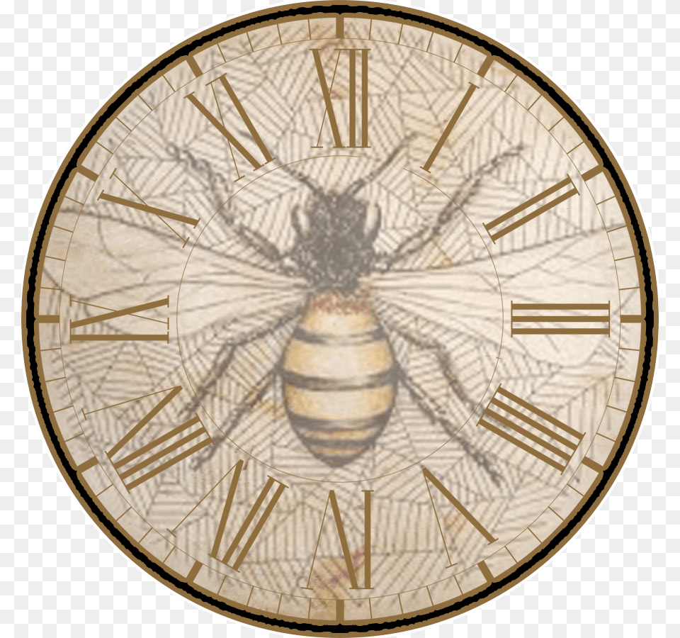 Vintage Honey Bee Clipart, Clock, Analog Clock, Animal, Invertebrate Free Png Download