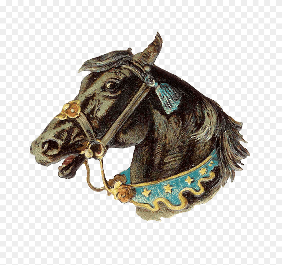 Vintage Horse Head, Halter, Accessories, Bronze, Dinosaur Png Image