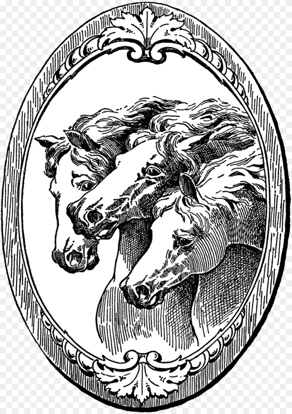 Vintage Horse Illustration, Emblem, Symbol, Person Free Transparent Png