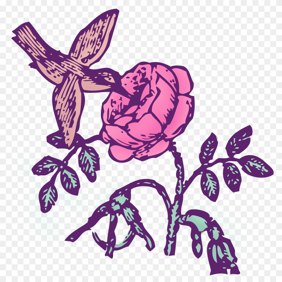 Vintage Hummingbird And Rose Clipart, Flower, Plant, Pattern, Art Png Image