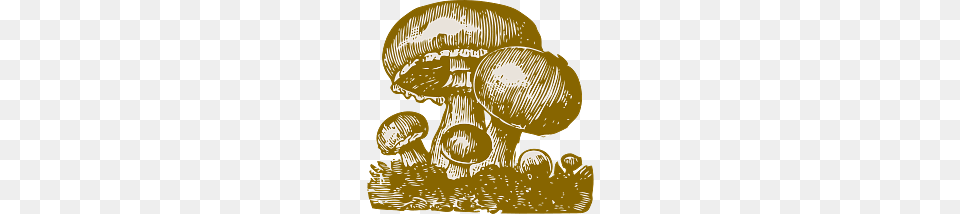 Vintage Illustration Of Mushrooms, Agaric, Fungus, Mushroom, Plant Png
