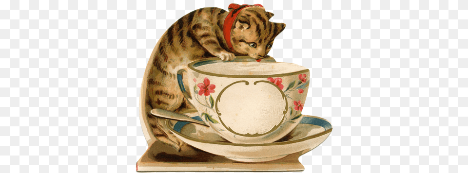 Vintage Images About Roses Birds Dogs Cats Child Cat Vintage, Cup, Saucer Free Png Download