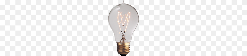 Vintage Light Bulb Photo, Lightbulb, Chandelier, Lamp Free Png