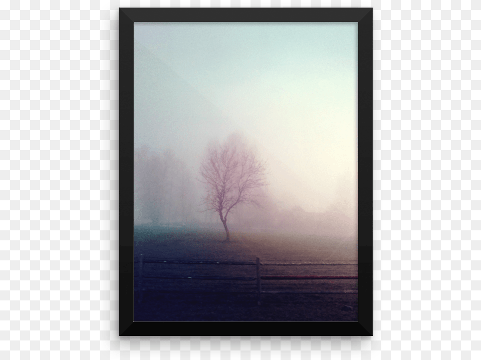 Vintage Lomo Processed Lonely Tree Picture Frame, Weather, Fog, Outdoors, Mist Png