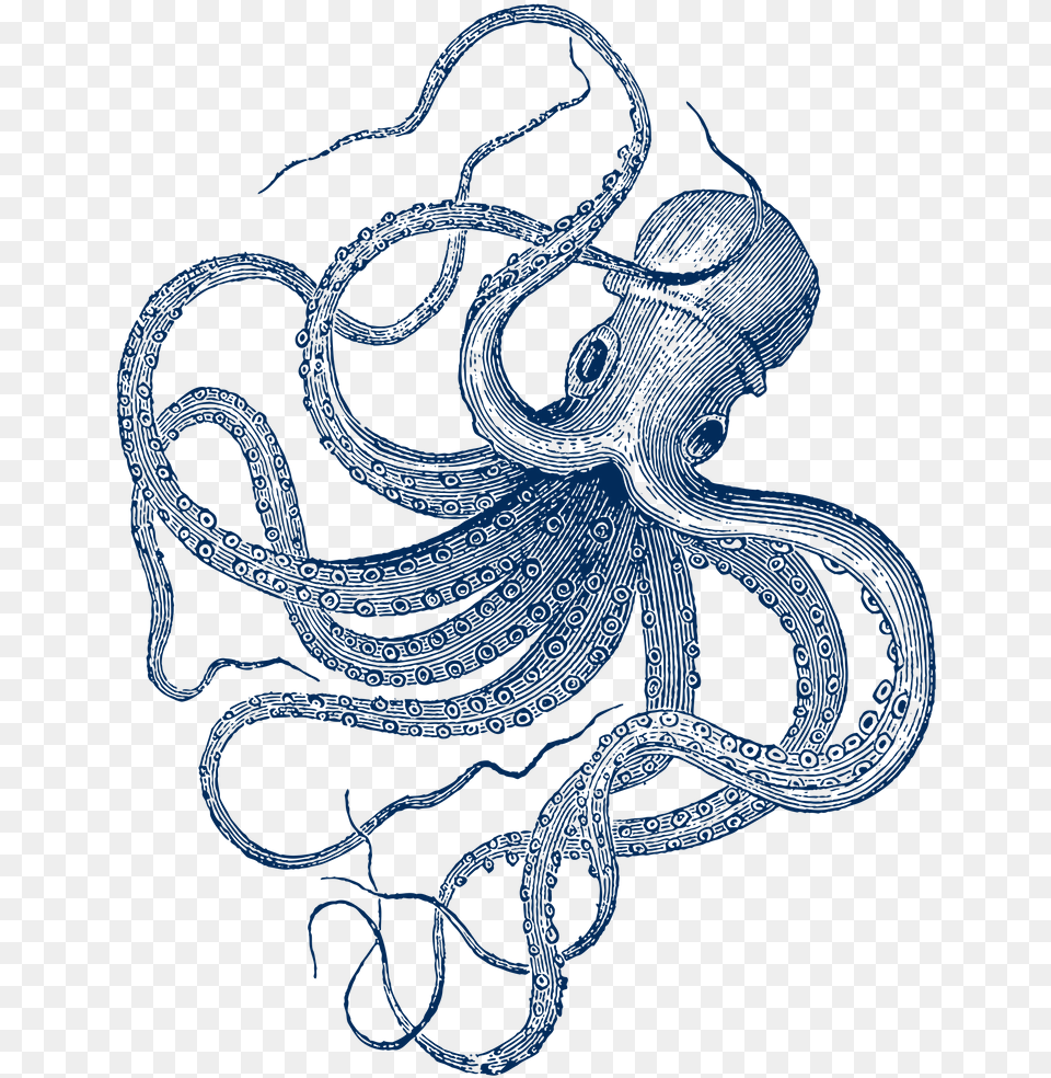 Vintage Octopus Illustration, Animal, Sea Life Png