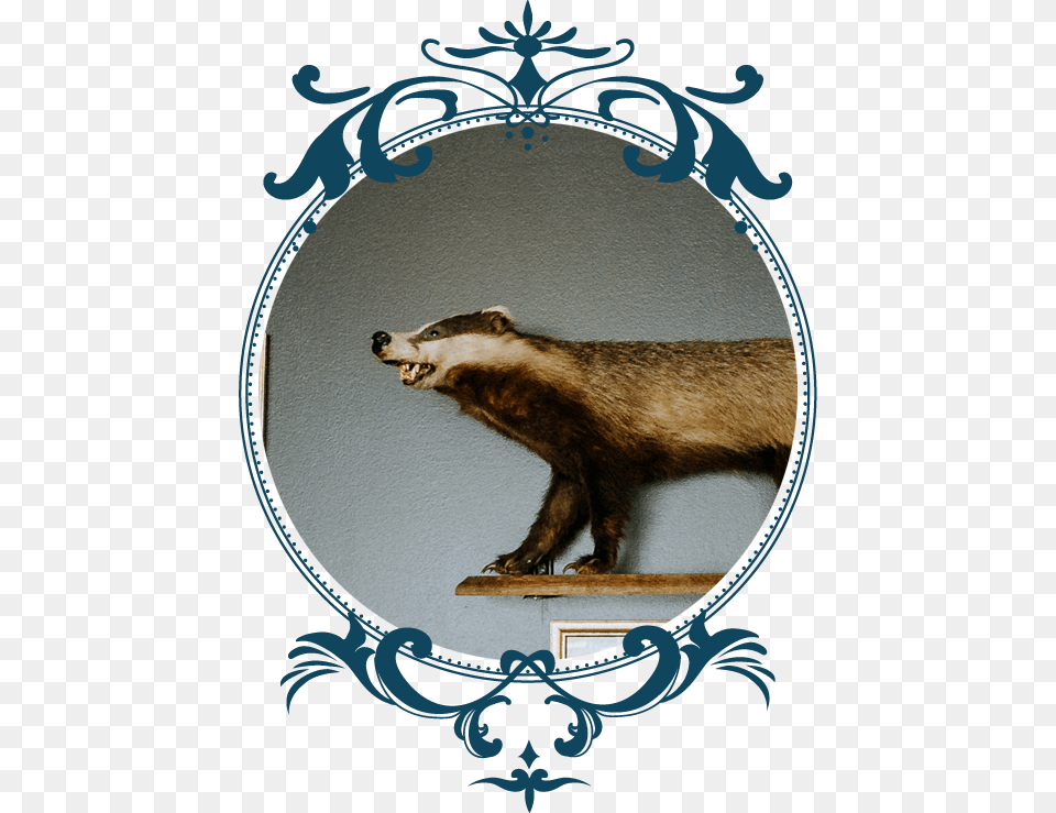 Vintage Ornament Vector, Animal, Bear, Mammal, Wildlife Png Image